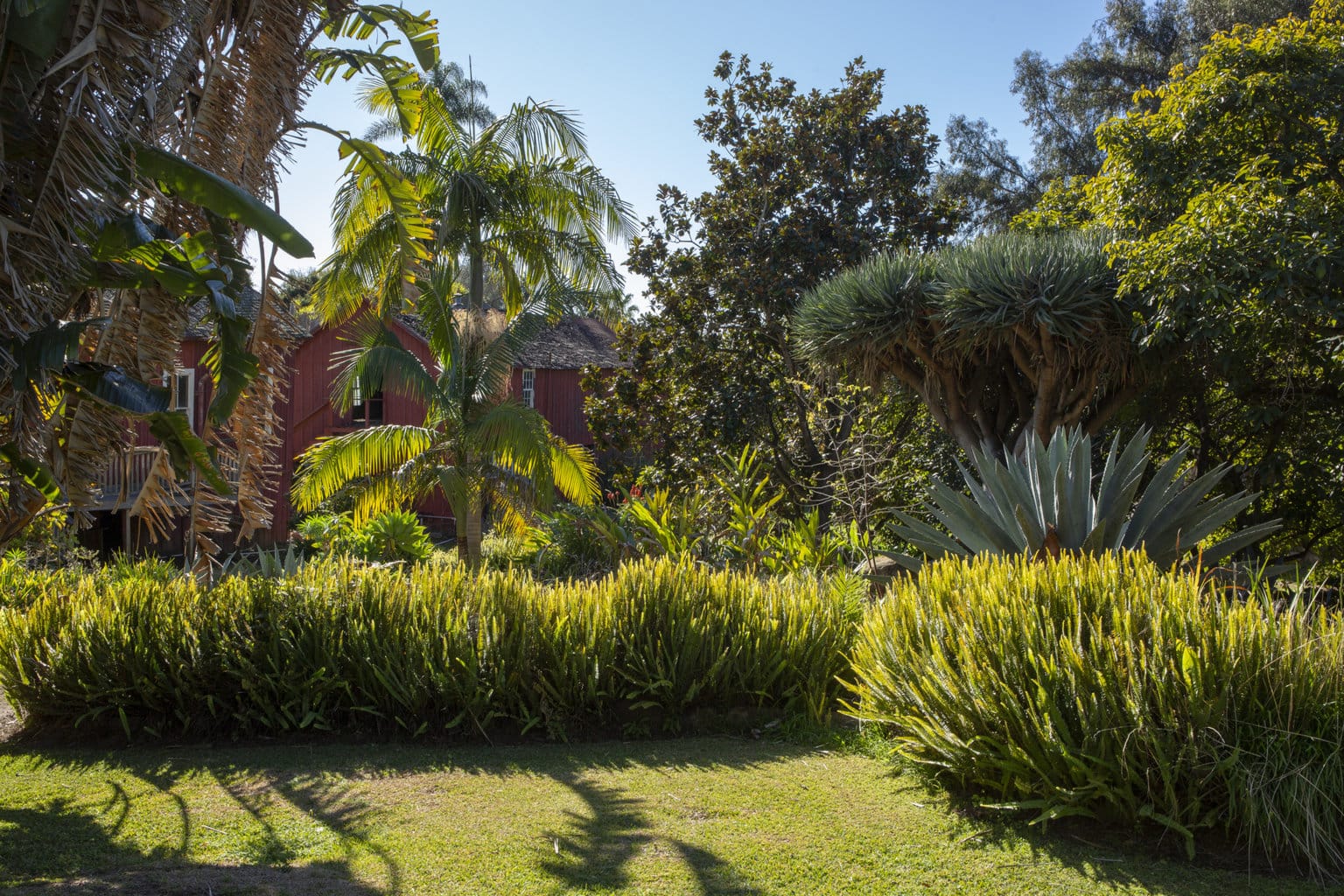 luxury-tropical-garden-of-carpinteria-home-for-sale