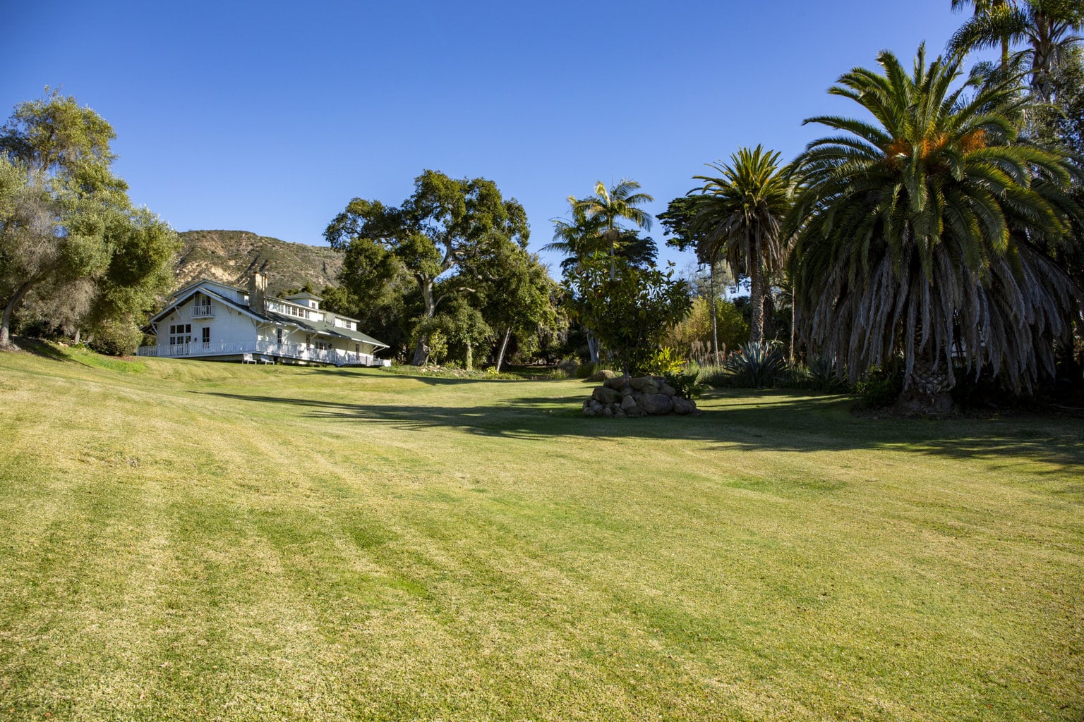 green-lawn-with-ranch-style-home-in-background-in-carpinteria-california