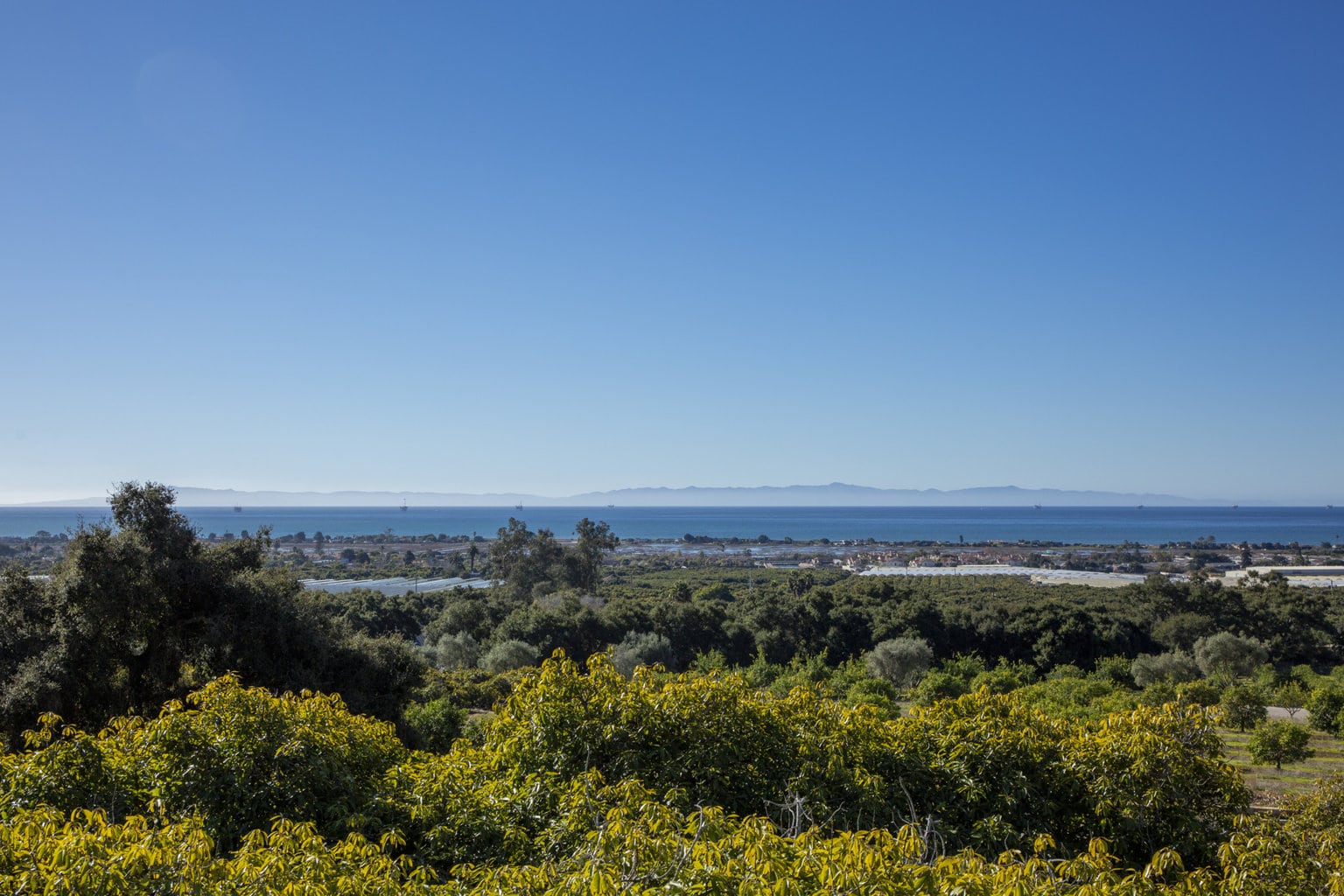 ocean-view-from-Carpinteria-equestrian-property-for sale