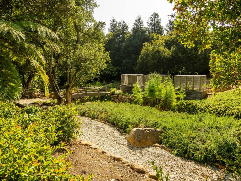 Raised vegetable beds and orchard behind The Erving House in Montecito