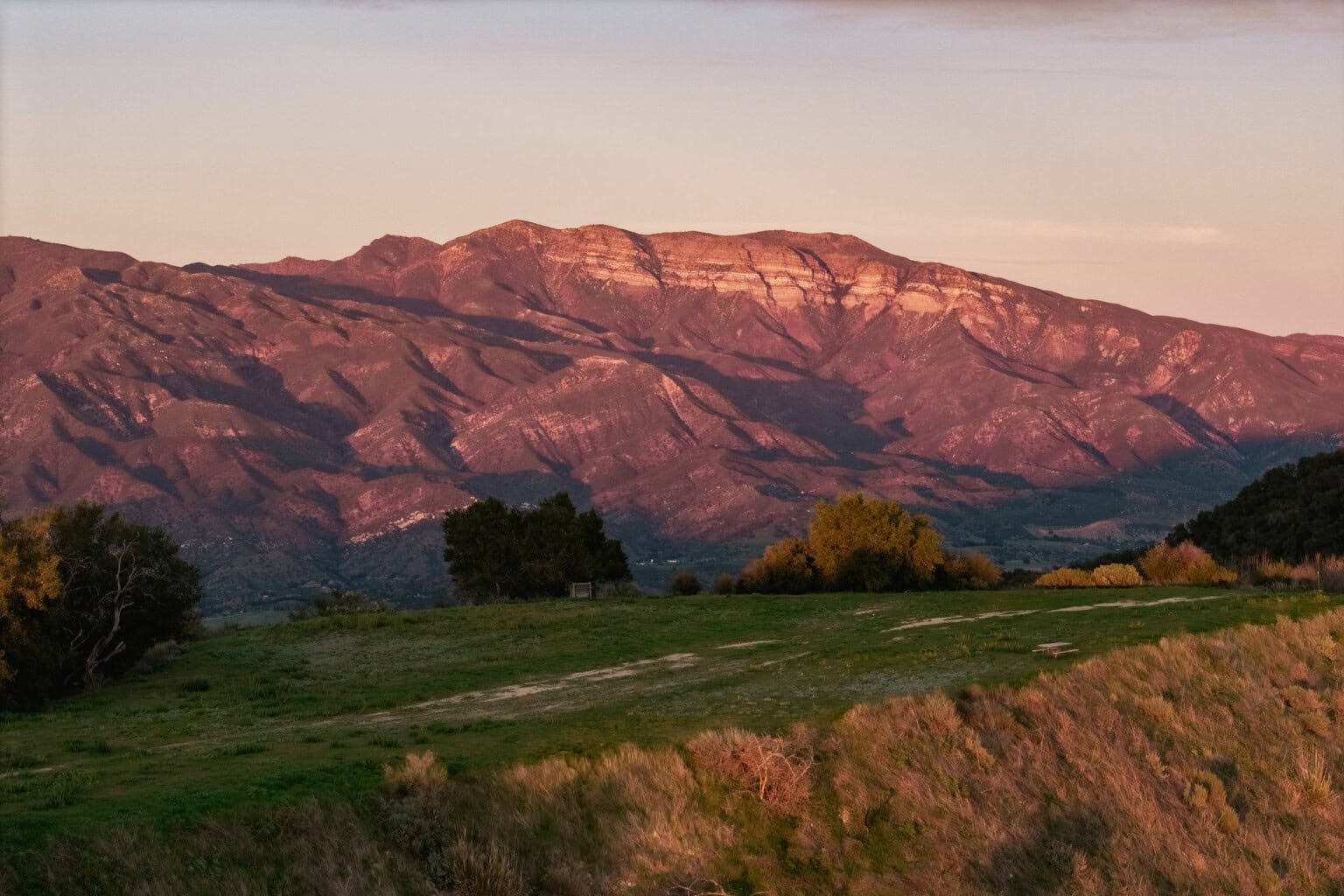 Pink Mt.